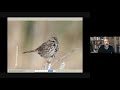 LIVE Online: Solving Sparrows with Bryan Pfeiffer