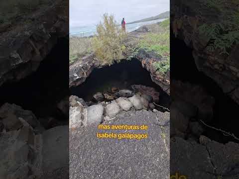 Isabela galápagos.. #claudiase #turismo #ecuador #travel #viajes #viajar #nature #iguanasmarinas