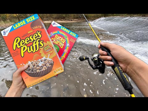 Fished Work