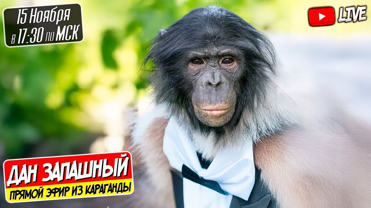 🔴 Две Недели в Цирке Караганды! Эфир с Даном Запашным