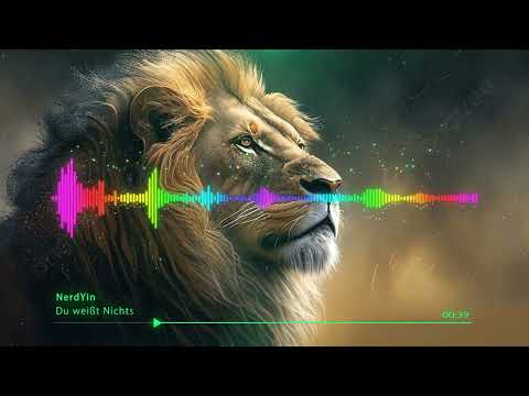 NerdYin - Du weißt Nichts (prod. by Trunxks)