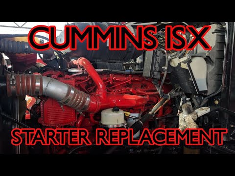 download lagu mp3 mp4 What Can Cumin Be Replaced With, download lagu What Can Cumin Be Replaced With gratis, unduh video klip What Can Cumin Be Replaced With