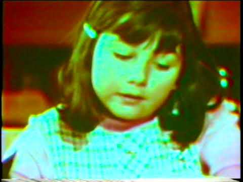 Room 8 cat actual video footage