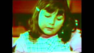 Room 8 cat actual video footage