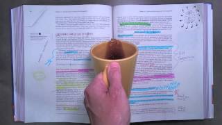Cheap Used Textbooks? Do You Trust The College Student Who Had It Last Semester?