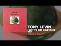 Tony Levin - I Cry To The Dolphined Sea (World Diary, 1995)