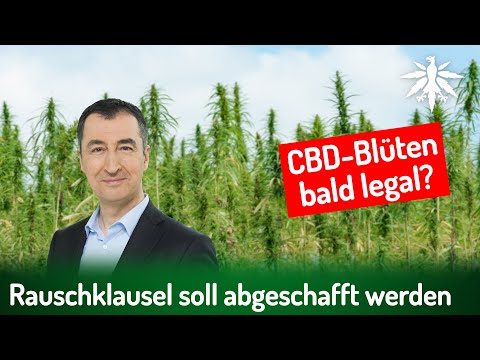 Video Thumbnail: Rauschklausel soll abgeschafft werden | DHV-News # 421
