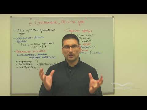 Borisav Stanković, Nečista krv Analiza - prvi deo