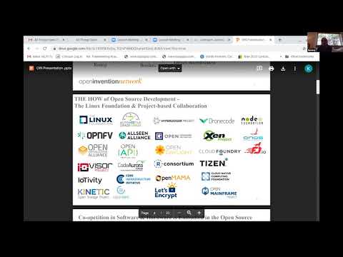 The Management of Patent Risk in Software - Keith Bergelt