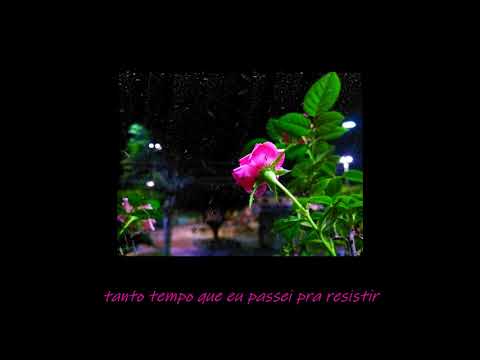 Mxbbzillv_Rosas PROD. Estêvão 6C [FULL EP]