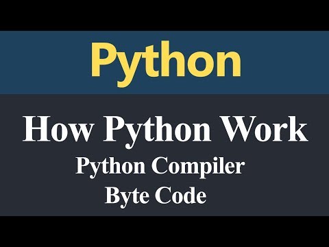 How Python Work Hindi