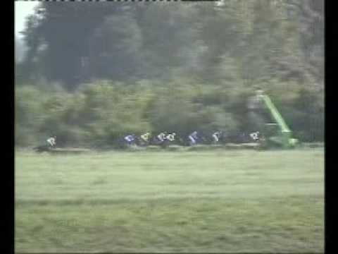 Hipodrom - Šabac, Srpski Trial Stakes 2007