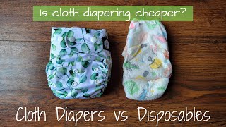 Is Cloth Diapering Cheaper than Disposables? | Cloth Diapers