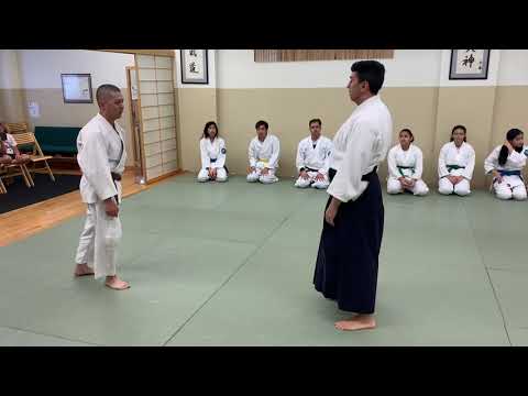 Whip Throw Aikido Technique