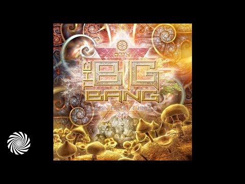 Sinerider, Ital, Neuroplasm - What Is Real (The Big Bang Remix)