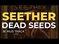 Seether - Dead Seeds (Bonus Track) (Official Audio)