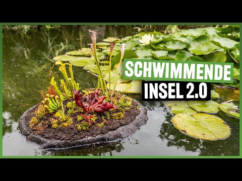 #234 Fleischfressende Pflanzen für den Teich