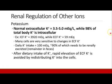 Applied Physiology for Anesthesia - 06 - RENAL - Part 2