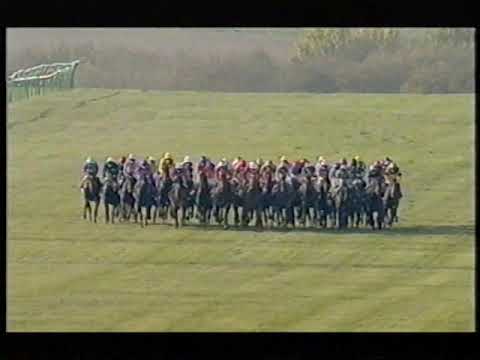 2003 Cesarewitch H'cap Landing Light Includes Replay
