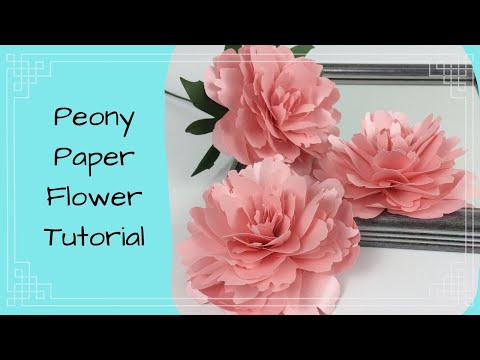 How to make a Paper Peony