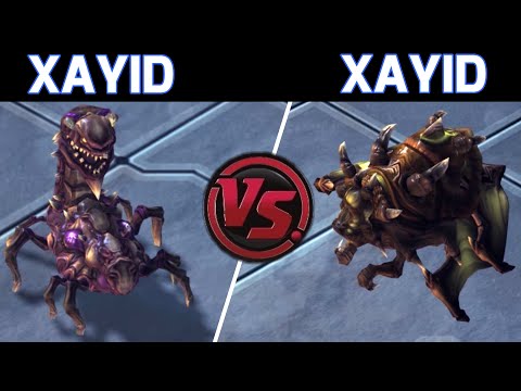 Lead Developer Plays XAYID!  Solstice [X] vs ShizunkCZ [X] - SC II, Scion Races