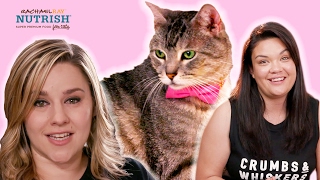 People Who Hate Cats Work In A Cat Cafe // Presented By BuzzFeed & Rachael Ray Nutrish