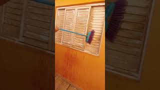 Cleaning ASMR ✨️ 🫧  #cleaningasmr #deepcleaning #limpeza #faxinando #fy