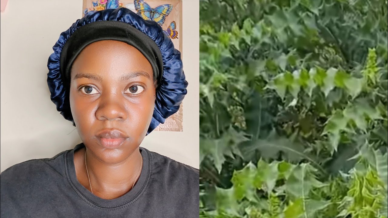 Siga ku mukira ozina emana nga embolo tegwa 