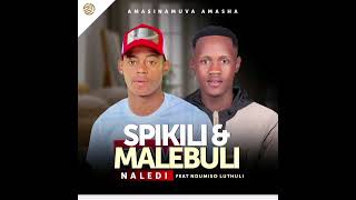 Download lagu Amasinamuva Amasha (feat.) Ndumiso Luthuli - Naledi mp3