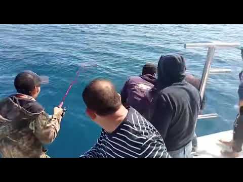 دراك سلو جيج الكنيسه ٢٤/١٠/٢٠٢١