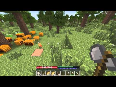 TerraFirmaCraft - Testing the Waters.