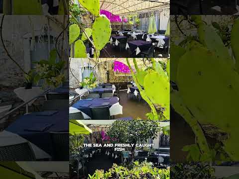 Anteprima video