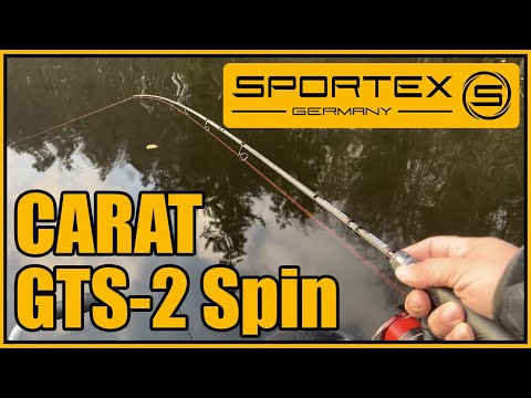 Sportex Carat GTS-2 2.10m 40g Fast