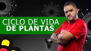 CICLO DE VIDA DE PLANTAS (visão geral do ciclo haplonte-diplonte)