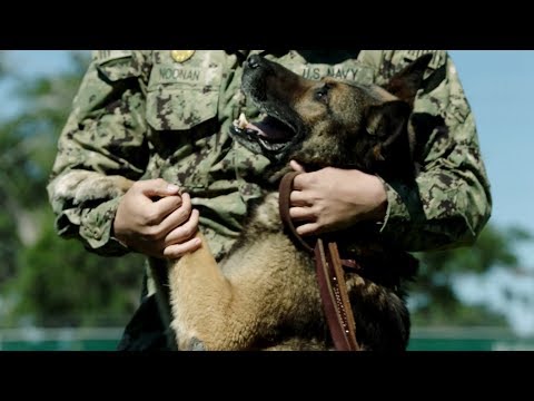 Navy Master-at-Arms – MA