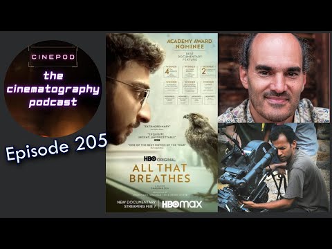 Oscar-nominated documentary All That Breathes cinematographers Ben Bernhard and Riju Das | Cinepod
