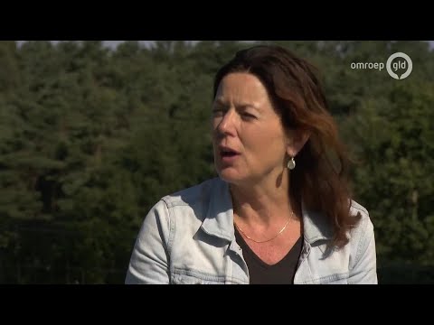 4Daagse Journaal 23 juli 2020 - Speciale editie