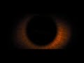 Metro Goldwyn Mayer Intro