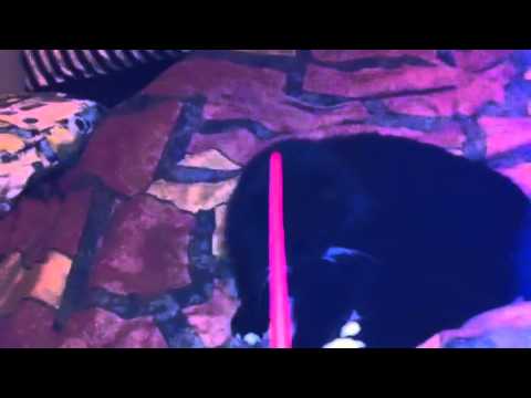 Chief Leonard and Cherise