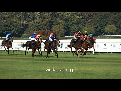 Gon. IV - 3.10.2021 - Tutulala (Duke of Zamindar - Tequila Rosa)