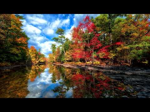 Event Departure - Acmr, music therapy: for - yoga, soul, sleep, psychotherapy😉