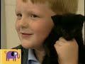 Noggin S Critter Corner Matthew S Cat Elmo S World