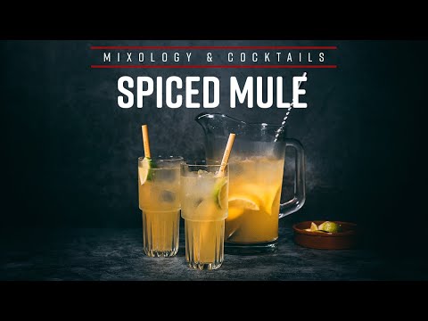 SPICED MULE COCKTAIL. Spiced Rum and Ginger Beer shareable cocktail