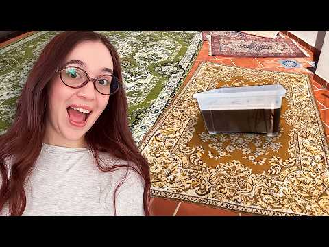 No me creo la SUCIEDAD que salió de limpiar mis ALFOMBRAS