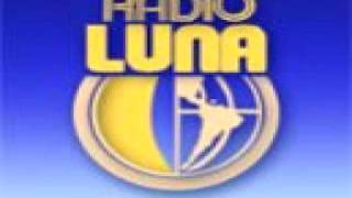 The Feelies - For Awhile