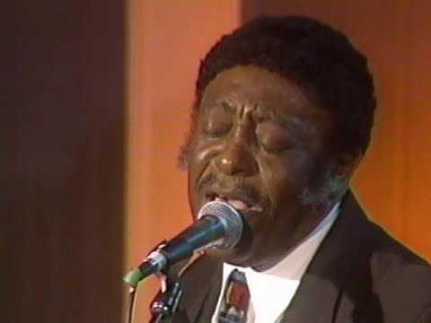 The Flamingos - "Golden Teardrops"  Live - 1/24/99