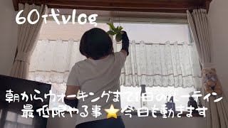 【主婦に休みはない😮‍💨】趣味楽しみながら動く/姫モンステラを植える/夏野菜で料理