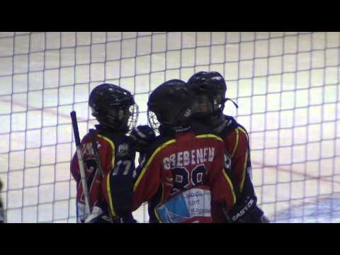 HC Panter/TSK 04/05 - Viru Sputnik 04/05 (15-0) 21.02.2016