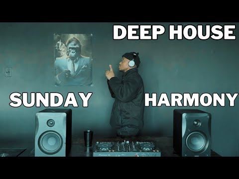 House Heavens Ep 22 : Deep house Mix | chronical deep || Poizen || Dustinho || Judy Jay