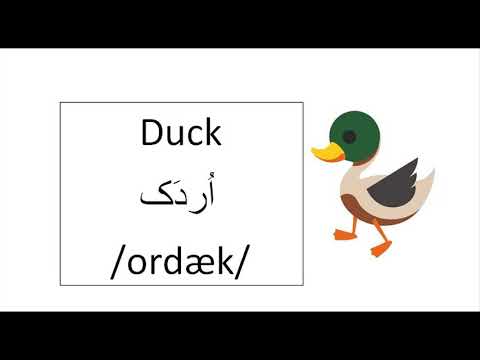 Animals in Farsi Language- Part 1